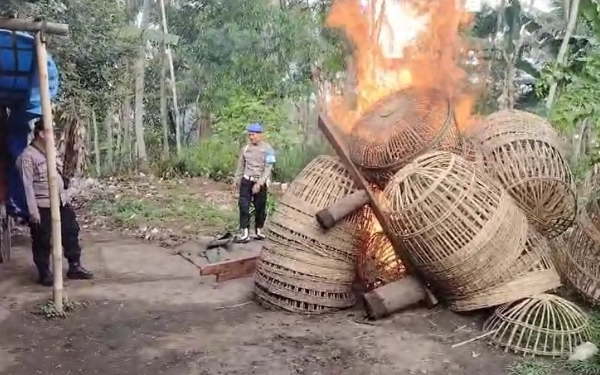 Thumbnail Tegas! Polres Malang Bongkar dan Bakar Arena Sabung Ayam di Wonokerto Bantur