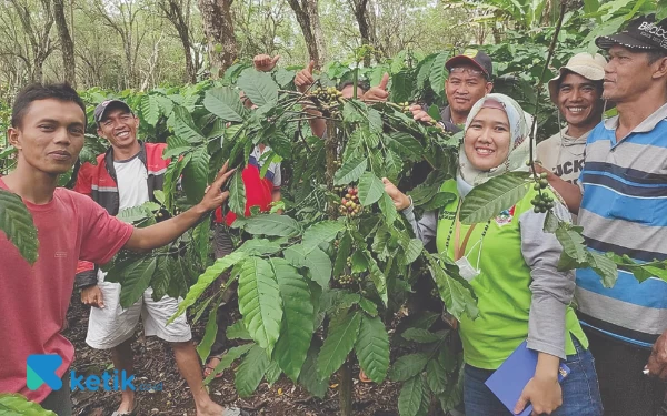 Thumbnail Tahun Kelima, 86 Poktan Pagaralam Jalankan Sejuta Sambung Pucuk