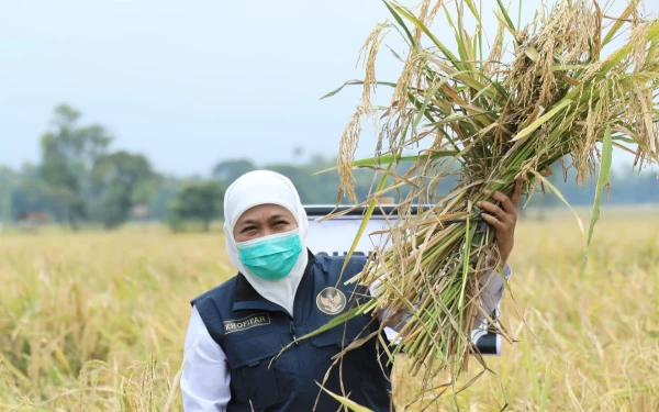 Pemprov Jatim Berhasil Pertahankan Nilai Tukar Petani