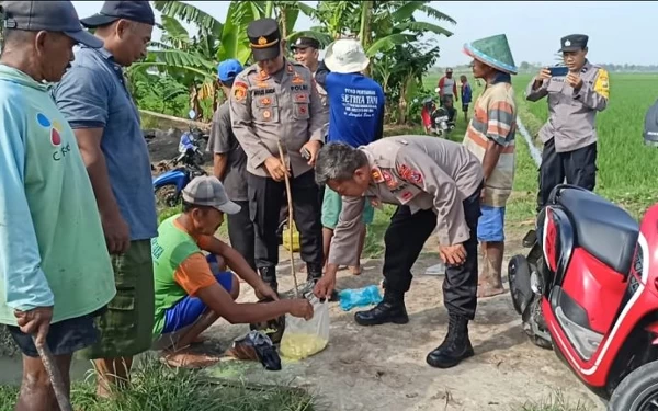 Thumbnail Polisi Ngawi Larang Petani Berantas Tikus dengan Jebakan Listrik