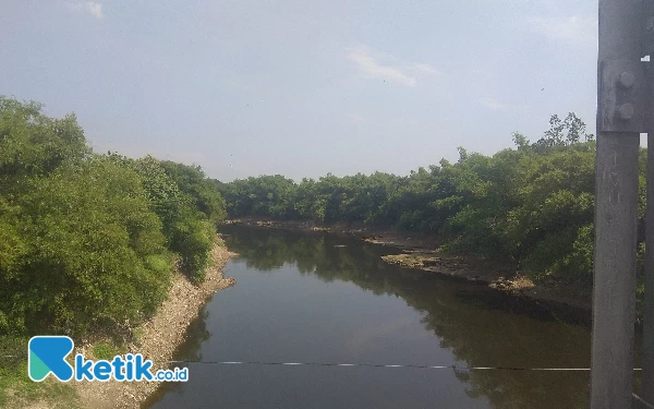 Air Bengawan Solo di Ngawi Diduga Tercemar, DLH: Hasil Lab Kategori Ringan