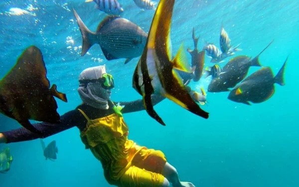 Thumbnail Berita - Ini Snorkeling Terbaik di Jatim, Bisa Berenang Bareng Hiu