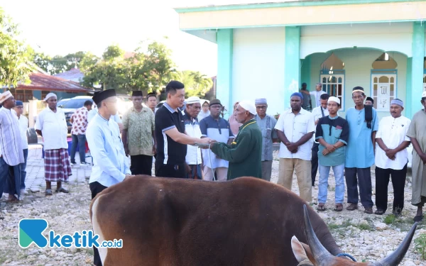 Thumbnail Berita - Bupati Freddy Thie Serahkan Bantuan 33 Sapi Qurban ke Masjid-Masjid di Kaimana