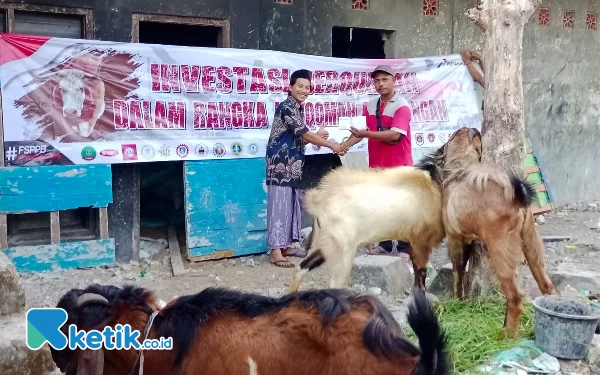 Idul Adha, FSPPB Salurkan 15 Hewan Kurban ke Sejumlah Daerah