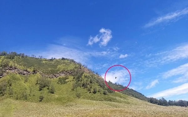 Thumbnail Berita - Geger UFO di Gunung Bromo, Ternyata Hanya Balon Mainan