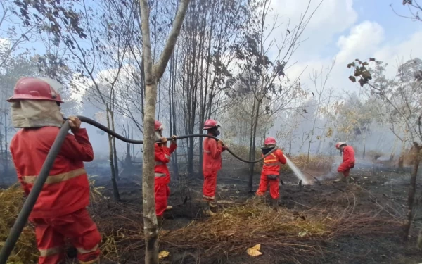 Thumbnail 1.178 Hektare Hutan dan Lahan Terbakar di Sumatera Utara