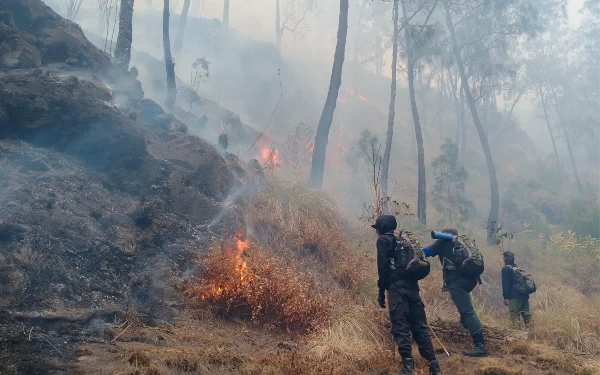 Thumbnail Berita - Petugas Padamkan Karhutla Lereng Gunung Arjuno Pakai Ranting Pohon