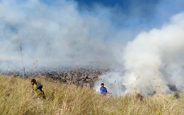 Thumbnail Petugas BB TN BTS sedang berusaha memadamkan api di Kawasan Taman Nasional Bromo Tengger Semeru. (Foto: Dok: BB TN BTS)