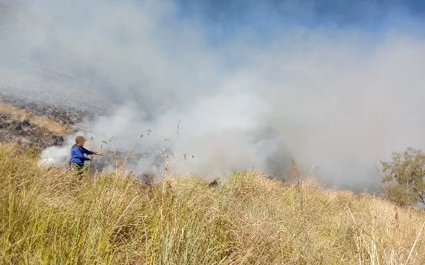 Thumbnail Petugas BB TN BTS sedang berusaha memadamkan api di Kawasan Taman Nasional Bromo Tengger Semeru. (Foto: Dok: BB TN BTS)