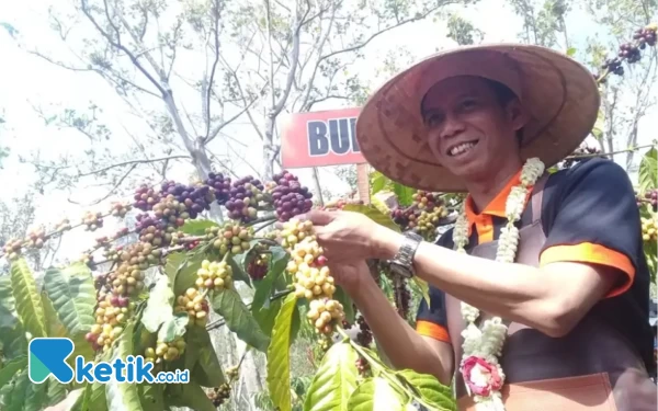 Thumbnail Berita - Presiden BRK Sambut Baik Rencana Bangkitkan Kopi di Bondowoso