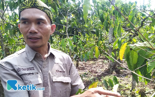 Thumbnail Berita - Ada 'Laboratorium' Alam untuk Belajar Kopi yang Masuk  Ijen Geopark Bondowoso