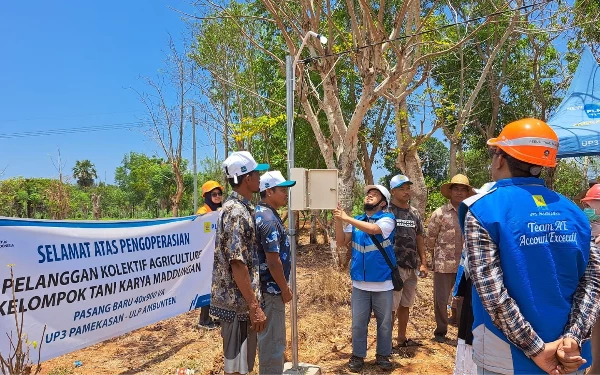 Thumbnail Beralih ke PLN, Petani Jeruk Hemat Biaya Capai 30 Persen