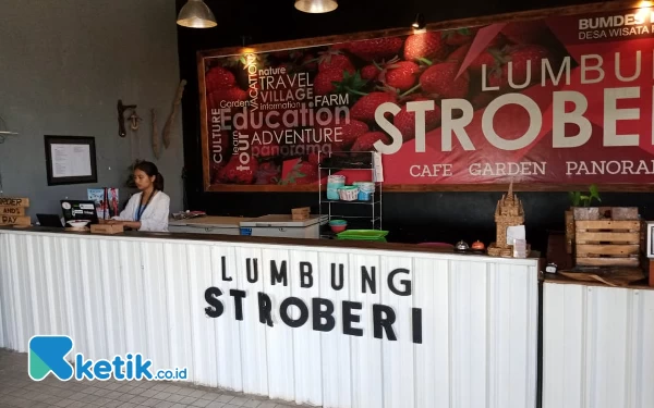 Thumbnail Menikmati Jus Stroberi Sambil Petik Stroberi di Wisata Lumbung Stroberi Kota Batu