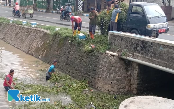 Foto Gulma dan rumput juga di keruk guna mencegah banjir. (Foto: Al Ahmadi/Ketik.co.id)