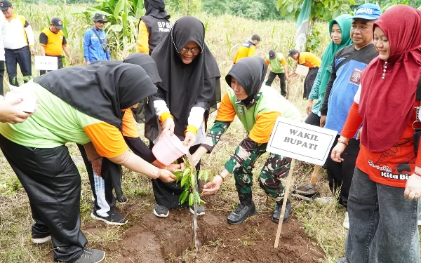 Mitigasi Bencana Hidrometeorologi, BPBD Situbondo Tanam Ribuan Pohon di Lahan Kritis