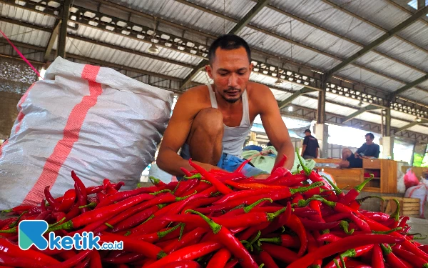 Thumbnail Berita - Selain Beras, Pemkab Kediri Pastikan Ketersediaan Stok Cabai Aman