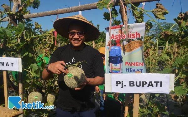 Pj Bupati Bondowoso Petik Melon dan Semangka di Desa Kretek