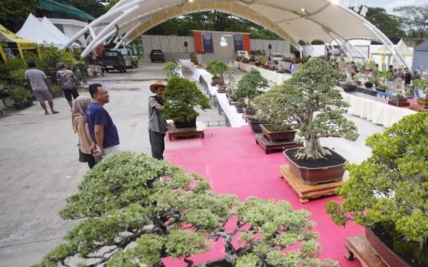 Thumbnail Berita - Ratusan Bonsai Menghijau di Pelti Kota Madiun