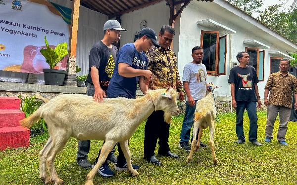 Foto Menteri Pertanian RI Andi Amran Sulaiman
memberikan bantuan kambing jenis Saanen murni secara simbolis kepada para peternak. (Foto: Humas Pemkab Sleman/Ketik.co.id)