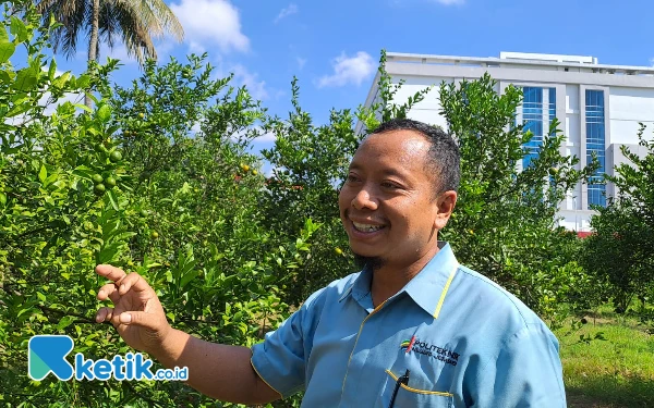 Foto Manager Tefa Kebun Inovasi dan Dataran Tinggi, Ujang Tri Cahyono saat menjelaskan cara memilih dan memetik buah jeruk yang benar (8/7/2024) (Foto: Fenna/Ketik.co.id)