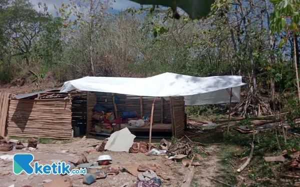 Foto Tempat tinggal sementara Nenek Mugimah untuk menghindari terik matahari dan hujan (Foto: Mat Jusi/Ketik.co.id).