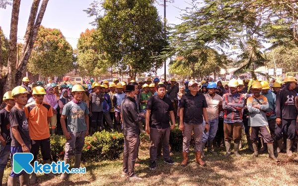 Hasil Panen Diblokir Ali Bakri cs, Ratusan Karyawan PT LIN Sengsara