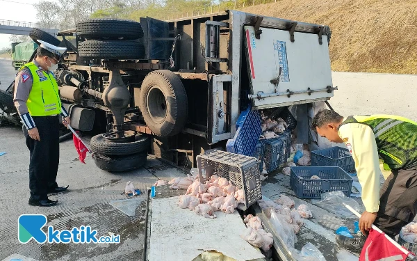 Foto Truk muatan ayam frozen alami kecelakaan di tol Caruban - Kertosono / Kurniawan (FOTO: Ketik.co.id)