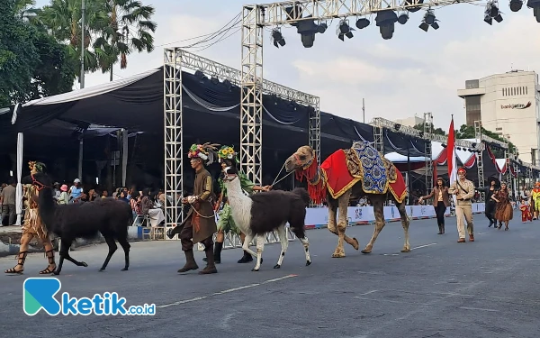 Foto Penampilan hewan dari Taman Safari Prigen di JFC Pets Carnival (3/8/2024) (Foto: Fenna/Ketik.co.id)