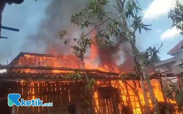 Foto Foto dari belakang rumah yang di lalap api di Desa Blu'uran (Foto: Mat Jusi/Ketik.co.id)