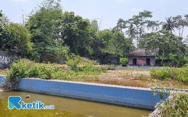 Foto Kolam renang segi empat yang dibangun Pemkal Margokaton mangkrak dan sebagian tergenang air. (Foto: Fajar Rianto/Ketik.co.id)