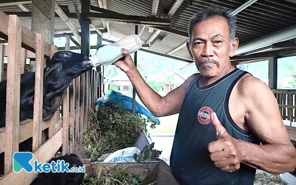 Thumbnail Peternak Asal Pacitan Bagikan Cara Rawat Anak Kambing yang Baru Lahir