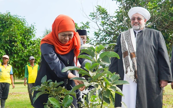 Thumbnail Berita - Kenalkan Keunggulan Jatim, Khofifah Pamerkan Agrikultur ke Syeikh Afeefuddin Al-Jailani