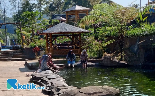 Foto Pengunjung sedang menikmati terapi Ikan di Wisata Bonpi Desa Ngroto Kecamatan Pujon Kabupaten Malang. (Foto: Sholeh/Ketik.co.id)