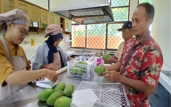 Polije Gelar Pelatihan Berdayakan Kelompok Tani Mangga untuk Tingkatkan Penanganan Pasca Panen