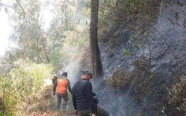 Kawasan Bromo Dilanda Kebakaran, Petugas Berjibaku Padamkan Api