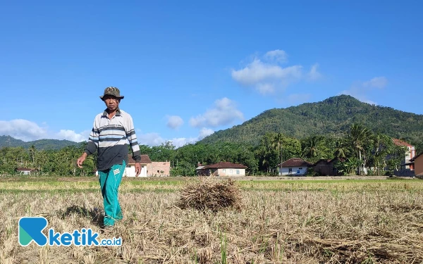 Thumbnail Berita - Dirangsang Bantuan Irigasi, Pemkab Pacitan Klaim Siap Hadapi Kemarau Panjang