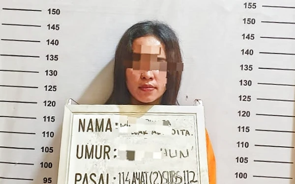 Thumbnail Tunggu Pembeli Sabu di Hotel, Ibu Rumah Tangga di Labuhanbatu Ditangkap Polisi