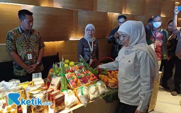 Foto Khofifah Indar Parawansa melihat langsung hasil kebun pameran dari HKTI Jatim, Rabu, 2 Oktober 2024. (Foto: Khaesar/Ketik.co.id)