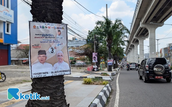 Foto Tampak sejumlah spanduk Pilkada dipasang di pohon-pohon di Jalan Angkatan 45, Kota Palembang. (Foto: Wisnu Akbar Prabowo/Ketik.co.id)