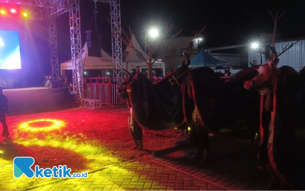 Foto Kesenian Bantengan yang tampil pada Gempur Rokok Ilegal Satpol PP dan Bea Cukai Malang. (Foto: Binar Gumilang/Ketik.co.id)