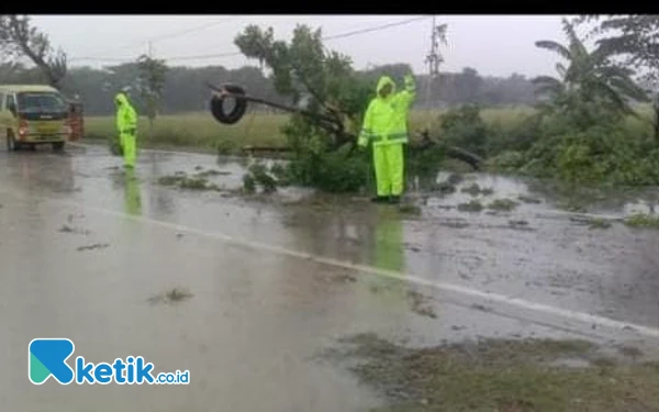 Thumbnail Berita - Kapolres Nganjuk Apresiasi Polsek Rejoso dan Tim Operasi Zebra Respons Cepat Pohon Tumbang