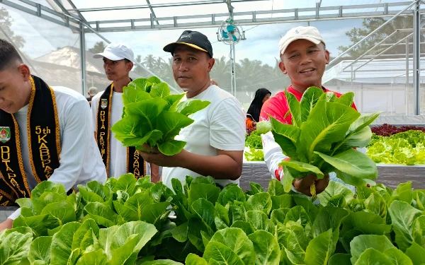 Thumbnail Camat Air Batu Tinjau Panen Perdana Tanaman Hedroponik Program Agro Wisata Hessa Air Genting