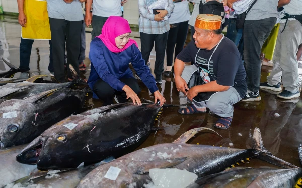 Thumbnail Berita - Datangi TPI Sendang Biru, Calon Gubernur Jatim Khofifah Kagumi Tuna Sirip Kuning