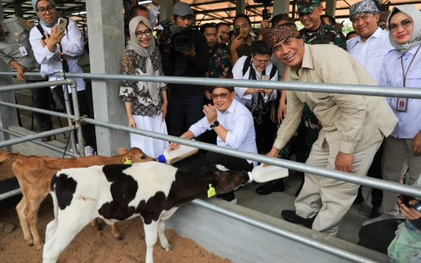 Thumbnail Berita - Kementerian Pertanian Tampung Susu Lokal, Pj Gubernur Jatim Apresiasi