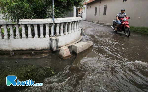 Foto Jalan kampung di Desa Beringinbendo yang tergenang air selama seminggu terakhir. (Foto: Dimas for Ketik.co.id)