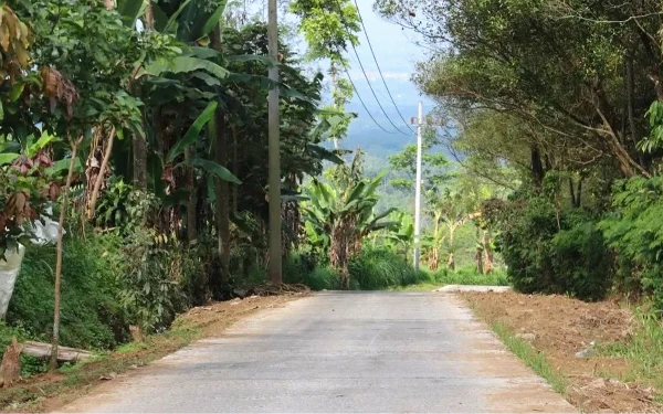 Foto Jalan rabat beton di Pakisaji Kabupaten Malang salah satu jalan yang dibuat mulus. (Foto: Prokopim Kabupaten)