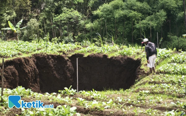 Thumbnail Berita - Dugaan Tambang Ilegal Sebabkan Tanah Ambles di Sawah Desa Giripurno Kota Batu