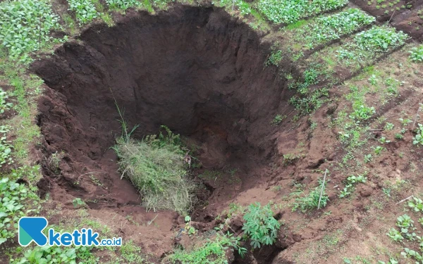 Thumbnail lobang besar tanah ambles di sawah Desa lobang besar tanah ambles di sawah Desa lubang berdiameter 7 kedalaman 12 meter akibat tanah ambles di sawah Giripurno Kecamatan Bumiaji Kota Batu. (Foto: Sholeh/Ketik.co.id)