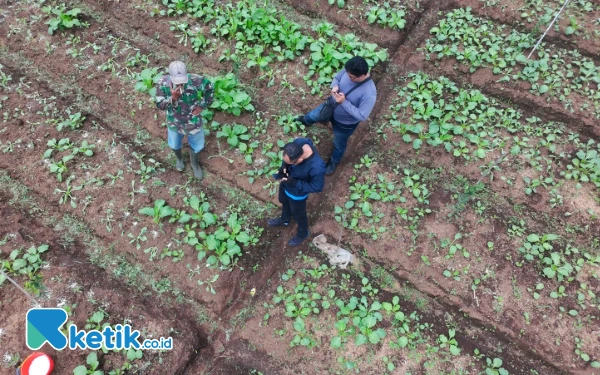 Thumbnail Penampakan lahan pertanian disekitar tanah ambles di sawah Desa Giripurno Kota Batu. (Foto: Sholeh/Ketik.co.id)