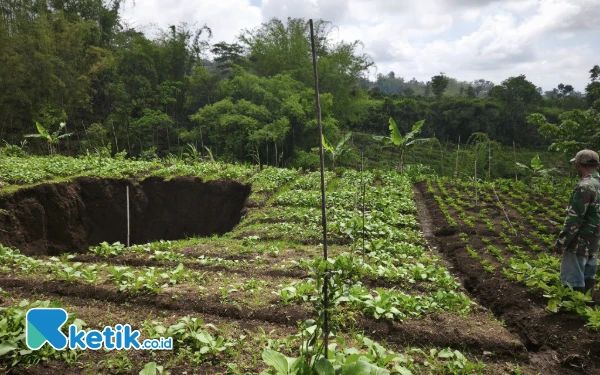 Thumbnail Penampakan lahan pertanian disekitar tanah ambles di sawah Desa Giripurno Kota Batu. (Foto: Sholeh/Ketik.co.id)